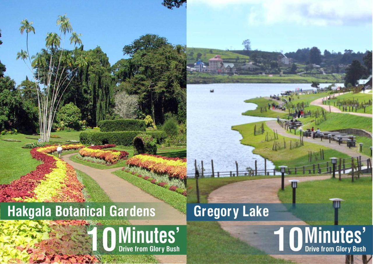 Glory Bush Boutique Villa Nuwara Eliya Exteriér fotografie