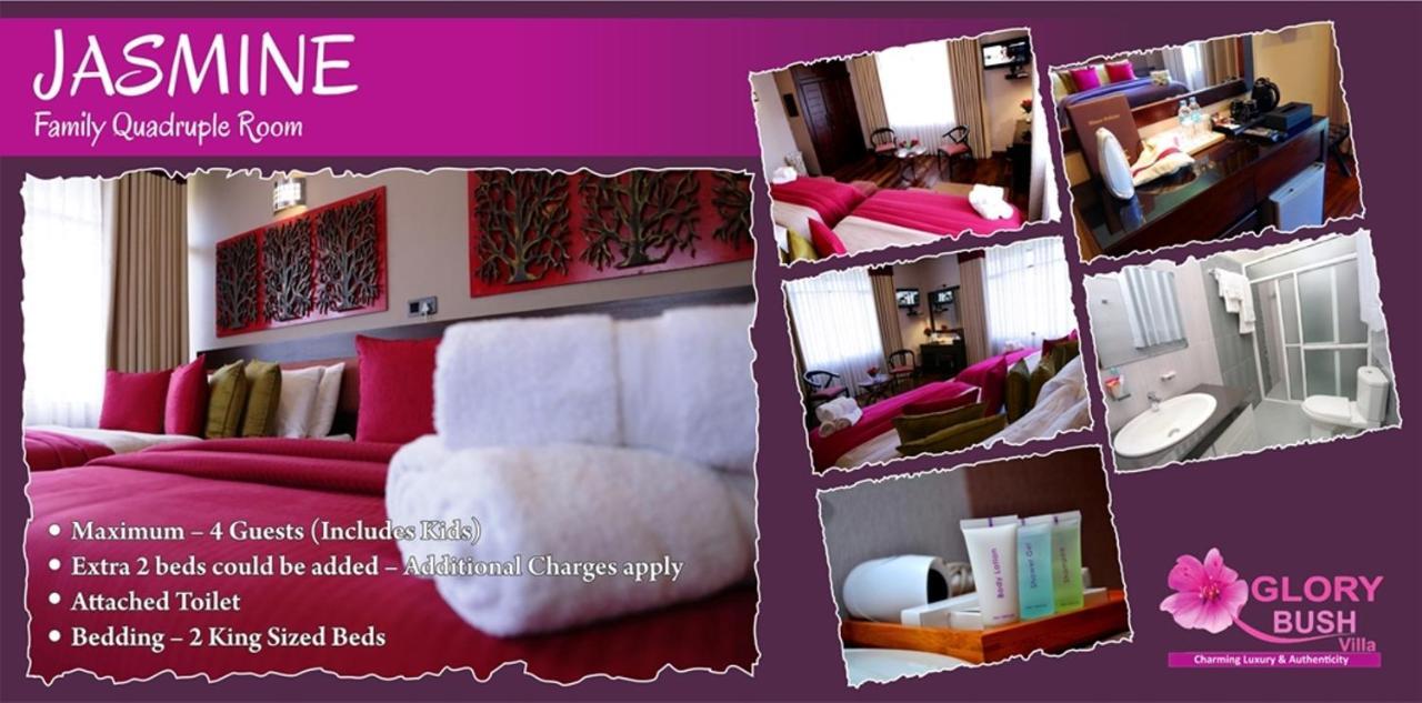 Glory Bush Boutique Villa Nuwara Eliya Exteriér fotografie