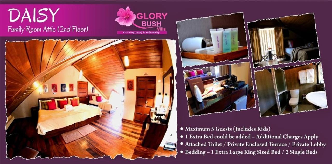 Glory Bush Boutique Villa Nuwara Eliya Exteriér fotografie
