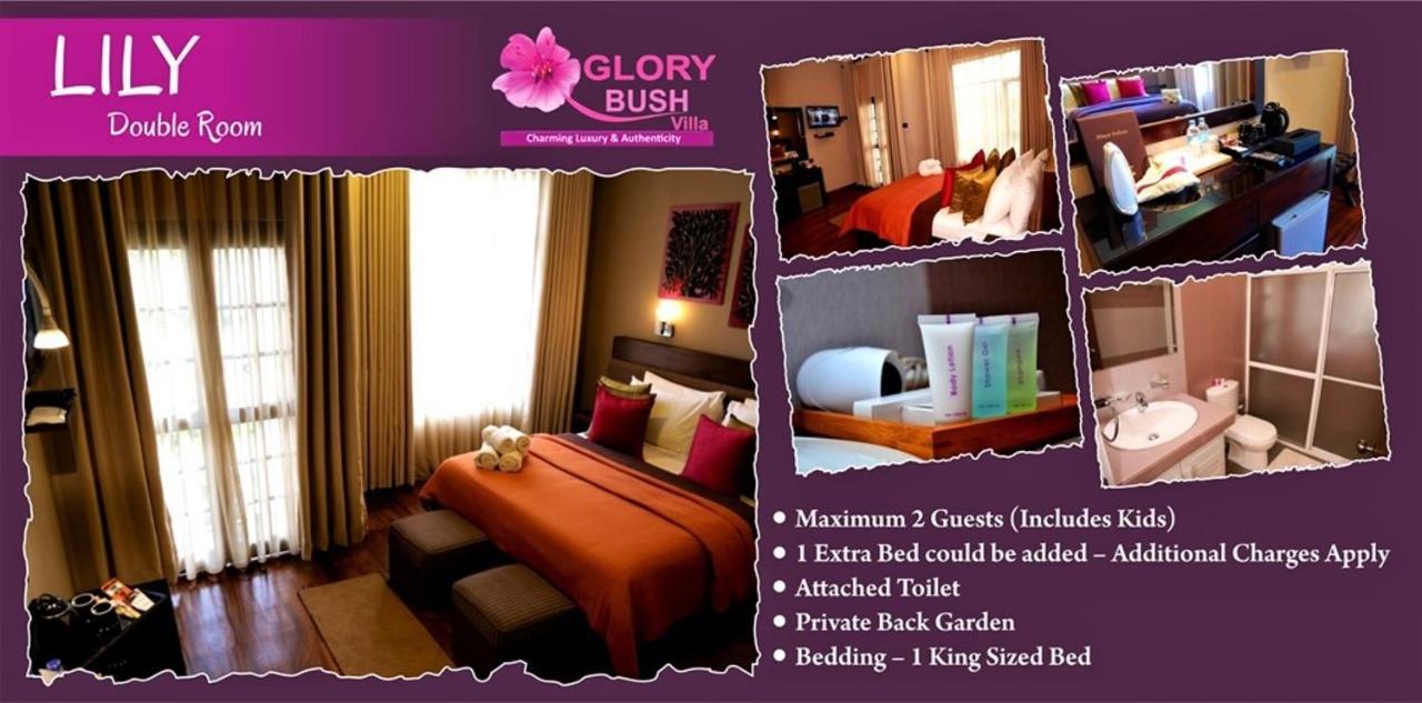 Glory Bush Boutique Villa Nuwara Eliya Exteriér fotografie